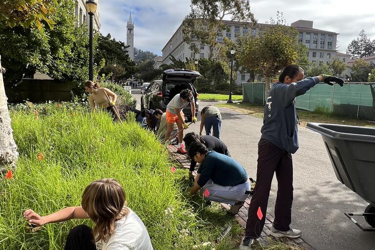first weeding day outside of VLSB