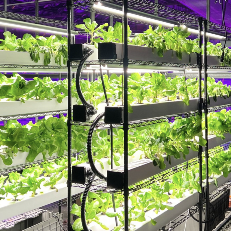 Vertical Farming